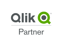 rivenditori-qlik